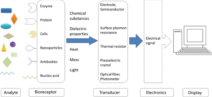 Schematic diagram of typical biosensors