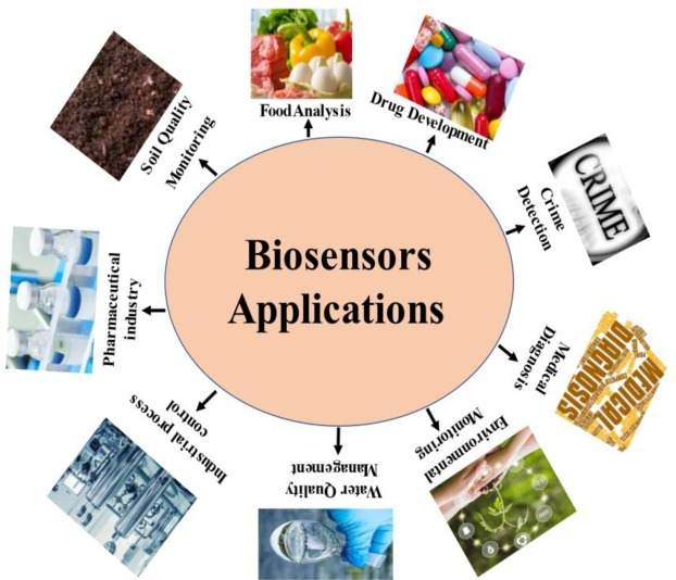 applications des biosenseurs