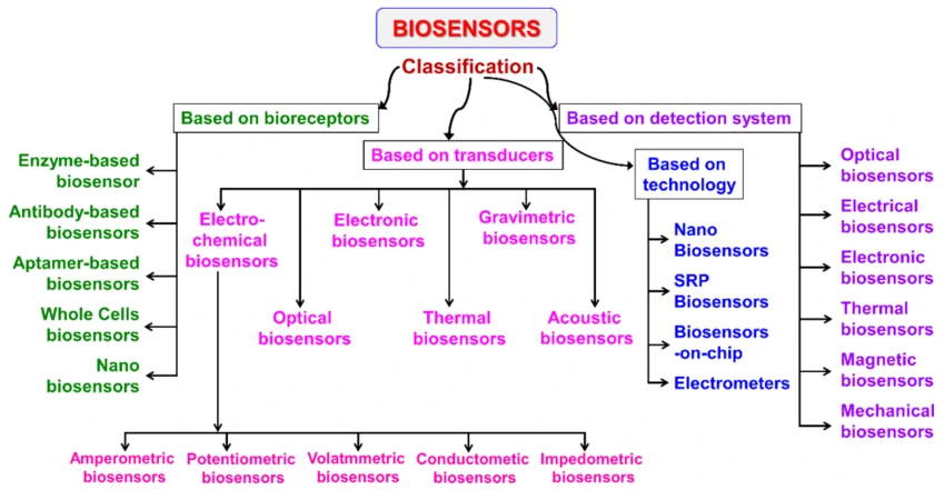 Classification of biosensors based on various bioreceptors and transducers used.