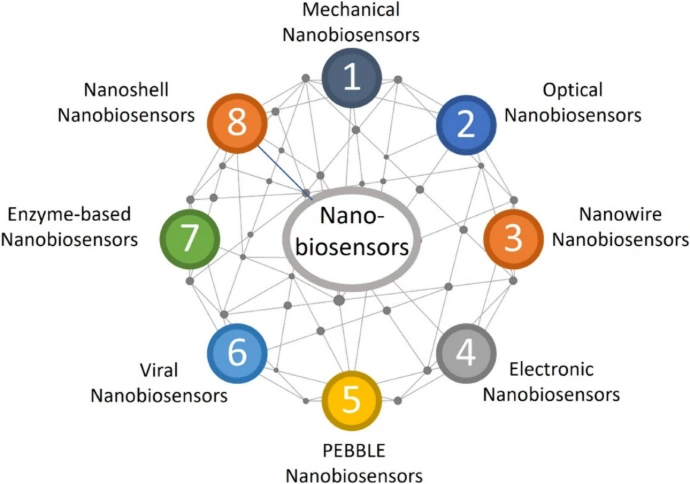 Nanobiosensors,food,agriculture ,Types of nanobiosensors