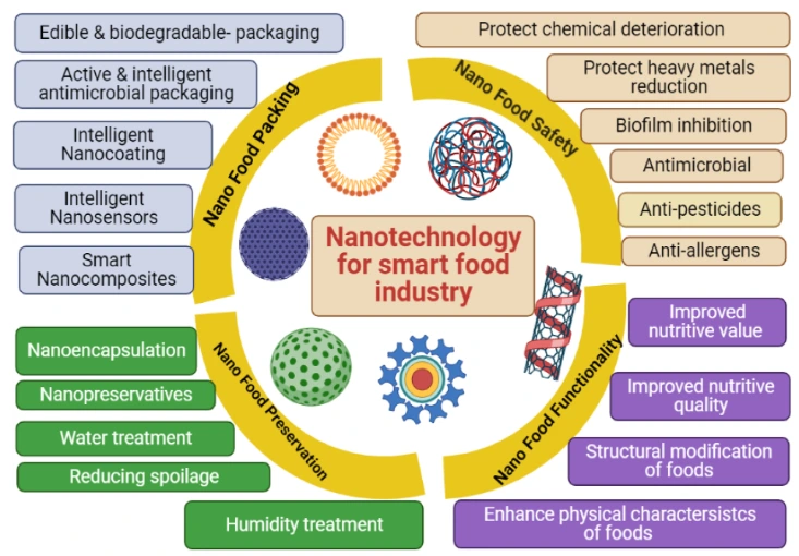 ood safety and security,Nanomaterials,storage stability,food preservation