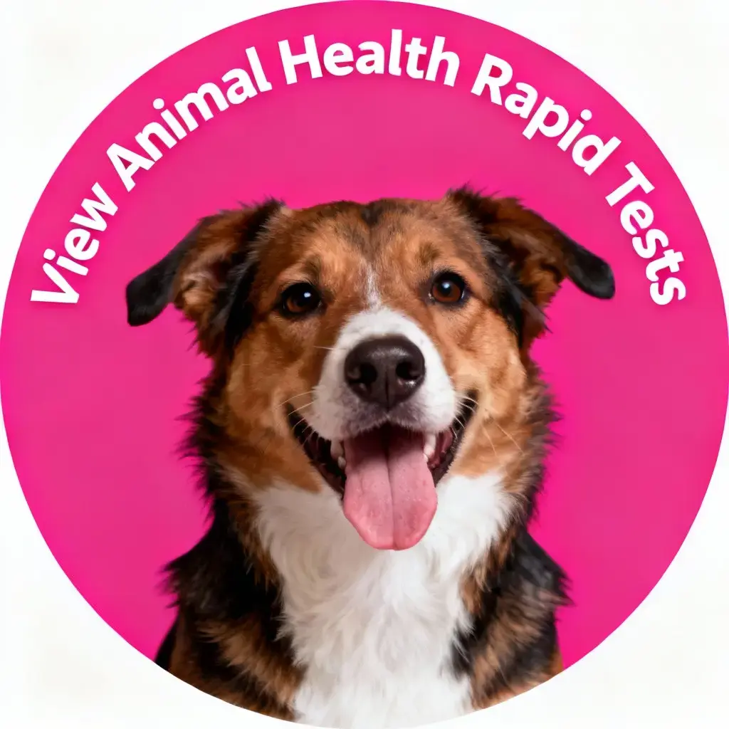 animal-health-rapid-tests.webp