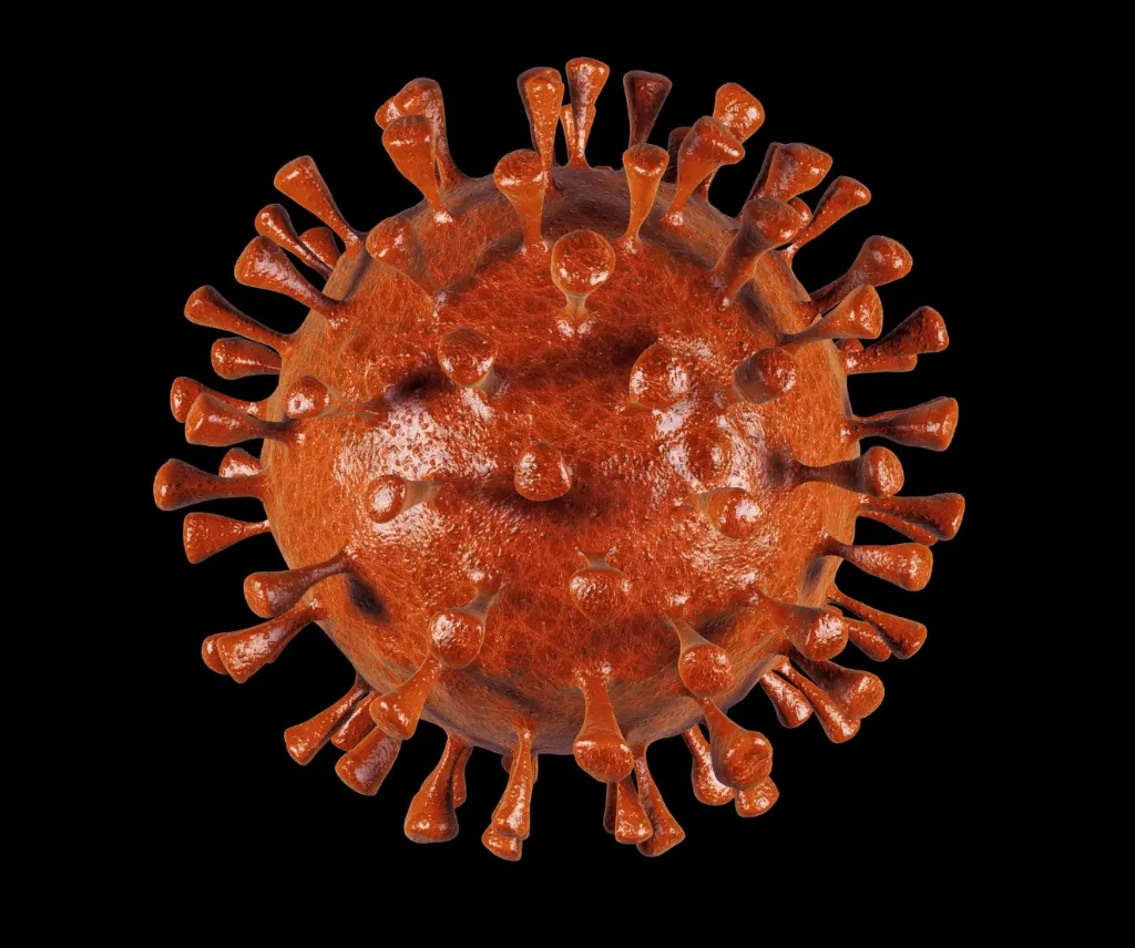 Influenza A H1N1PDM (A/Brisbane/2/18)