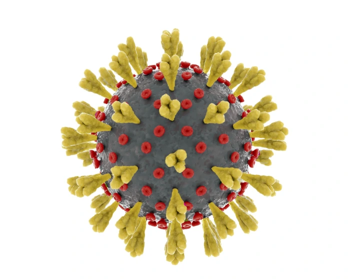 Herpes simplex type 2 (Isolate 2)
